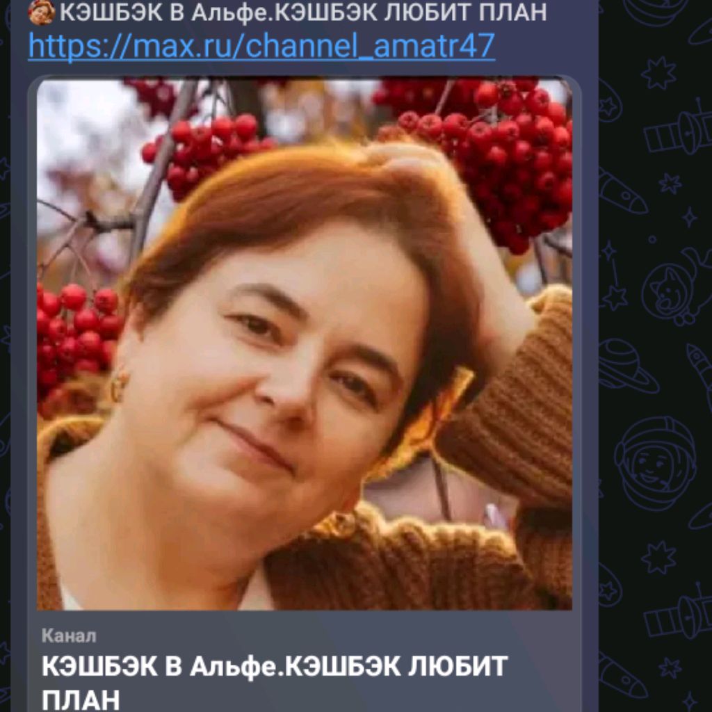 Иконка канала СВой Бизнес Альфа