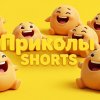 Иконка канала Приколы Shorts