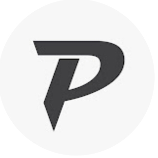 Иконка канала p463