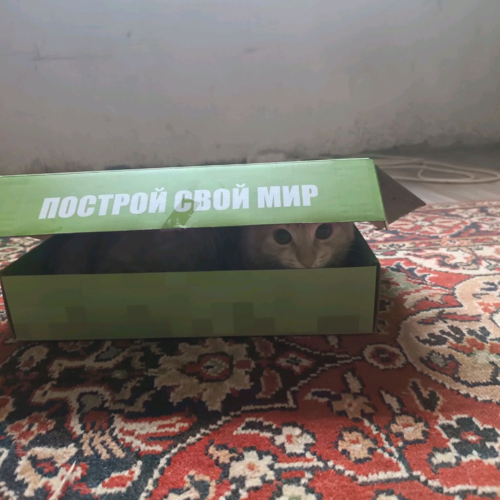 Иконка канала Тима И Миша 2 Канал