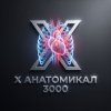 Иконка канала X АНАТОМИКАЛ 3000