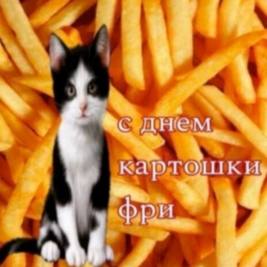 Иконка канала PIZZA