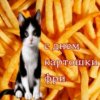 Иконка канала channel80009767