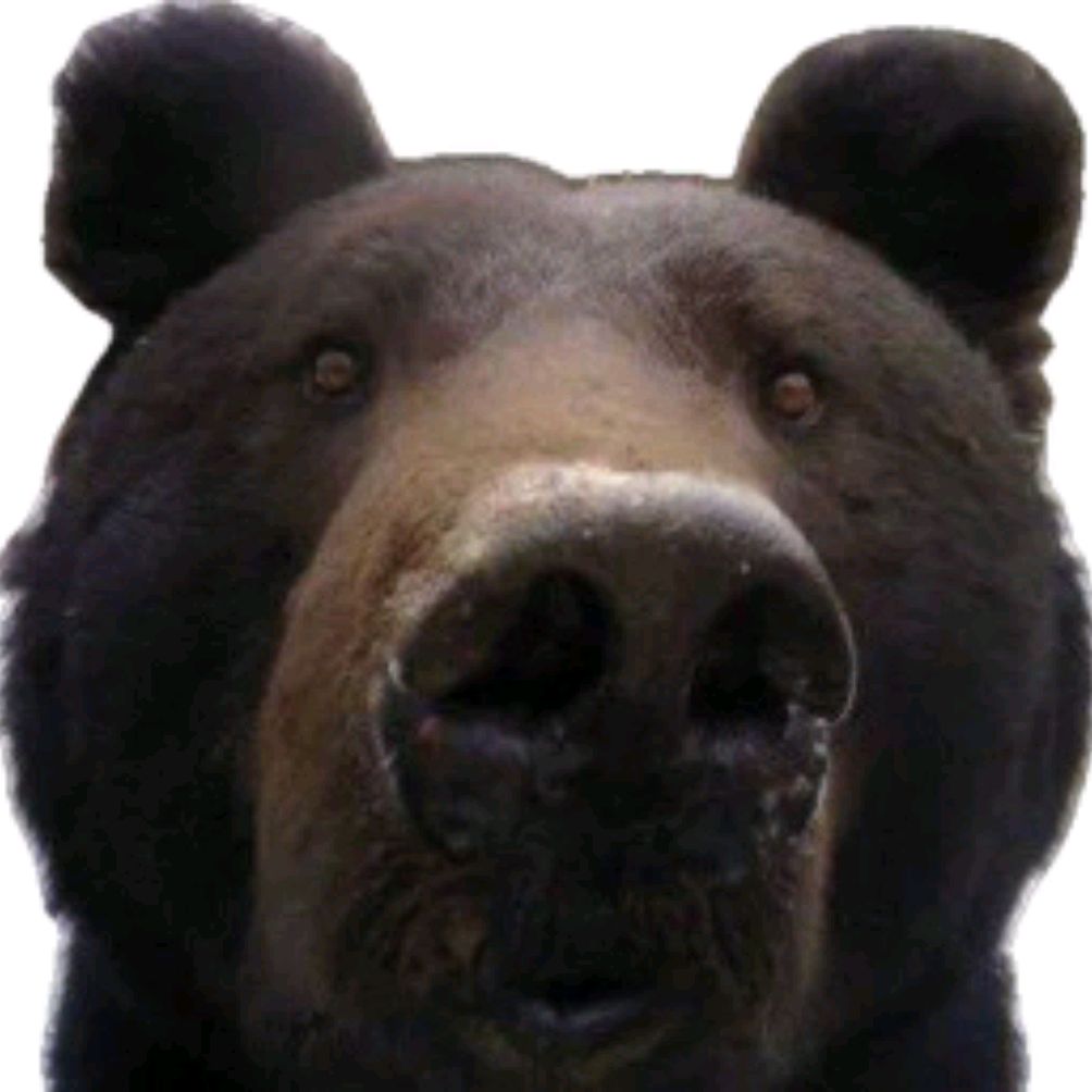 Иконка канала L-grizzlyck