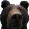 Иконка канала L-grizzlyck