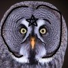 Иконка канала 𐙚🌌~𝐋𝐮𝐬𝐢𝐚⛧𝐨𝐰𝐥💤