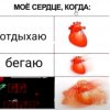Иконка канала Бискас
