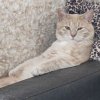 Иконка канала Y.V