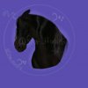 Иконка канала ☾Star_Horse♡ ♘ original