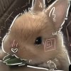 Иконка канала 🐇Крольчик_ stor🐾
