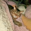 Иконка канала Настасья