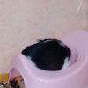Иконка канала Карамелька