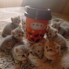 Иконка канала Крутой макланг.