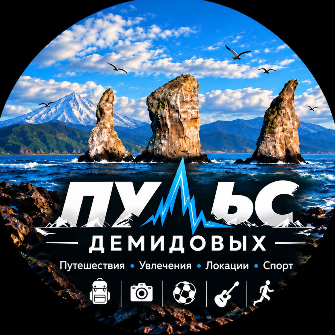 Иконка канала Пульс Демидовых
