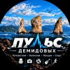 Иконка канала Пульс Демидовых