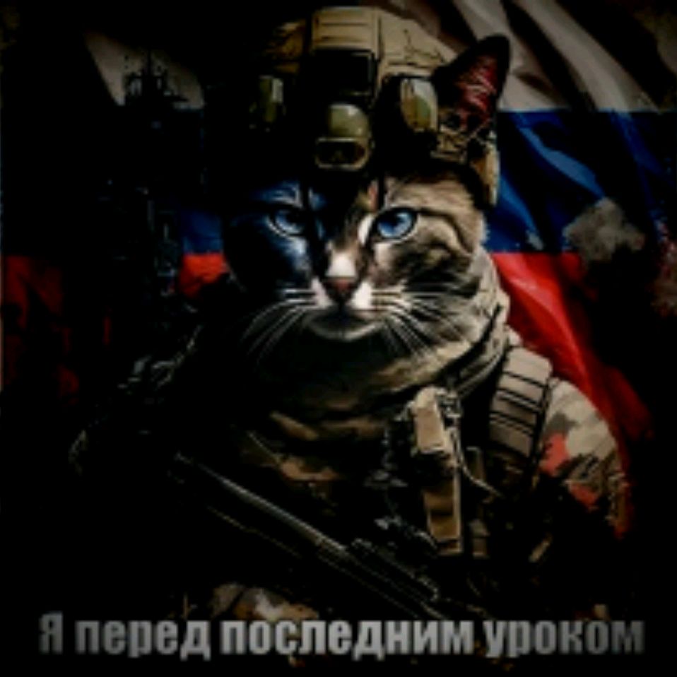 Иконка канала Кет Кетович
