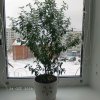 Иконка канала Влоги Cat