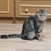 Иконка канала Никита