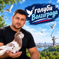 Иконка канала Голуби Волгограда!