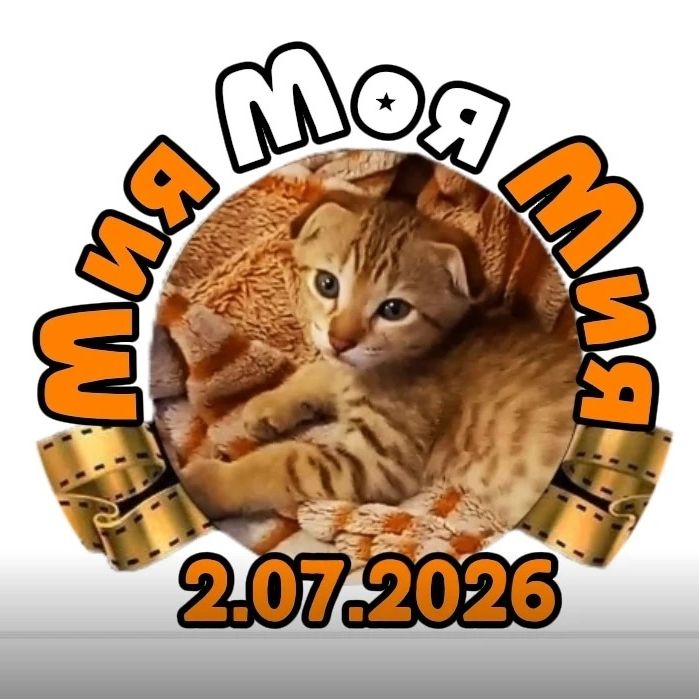Иконка канала Мия Моя Мия