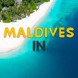 Иконка канала MaldivesIN