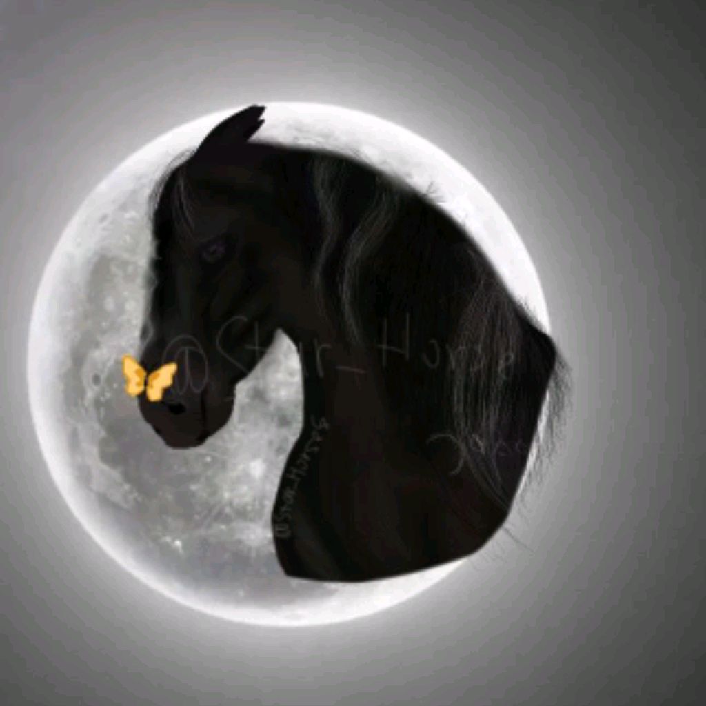 Иконка канала ☾Star_Horse♡ ♘ original