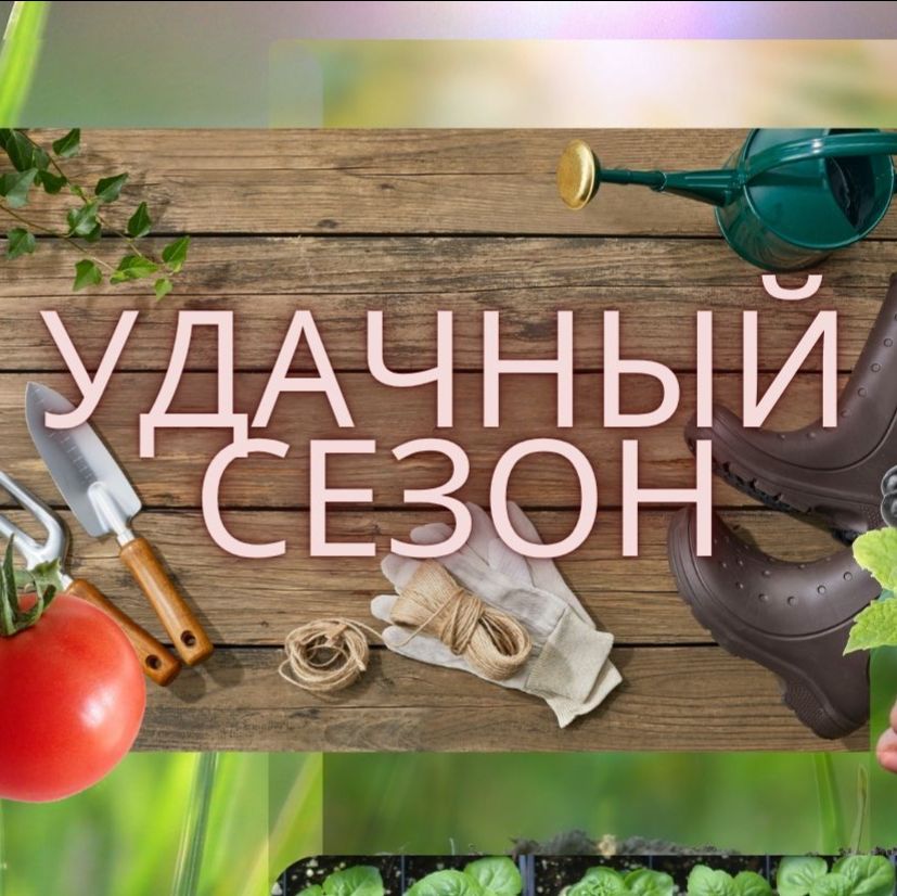 Иконка канала уДачный сезон