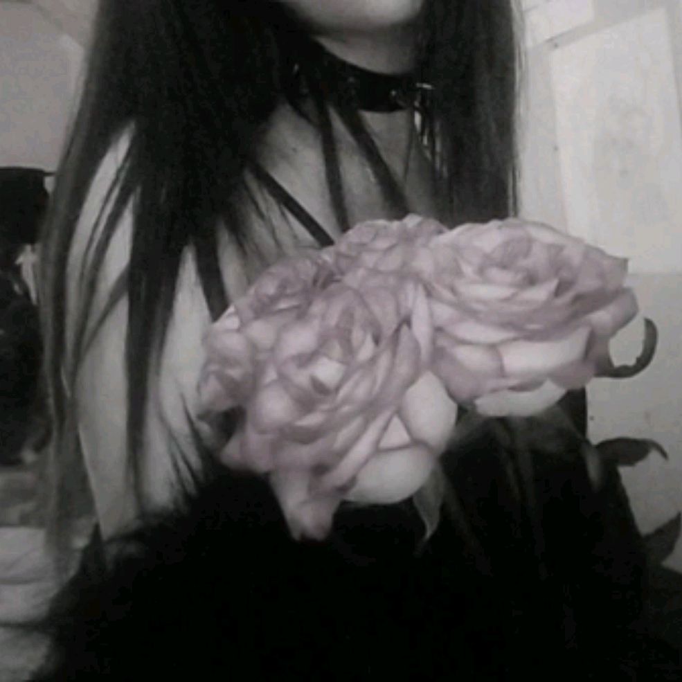 Иконка канала 🖤×veter×🖤