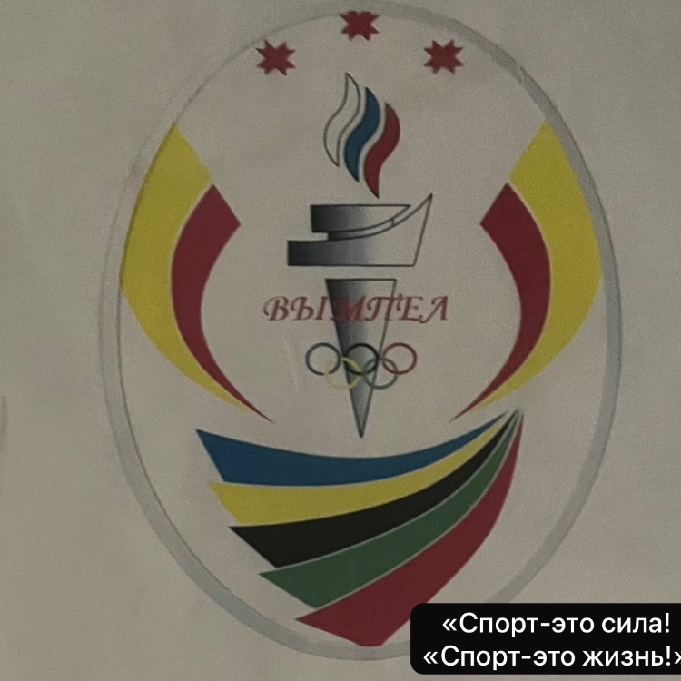 Иконка канала Школьный спортивный клуб «Вымпел»