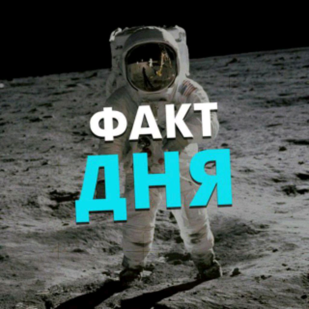 Иконка канала Факты