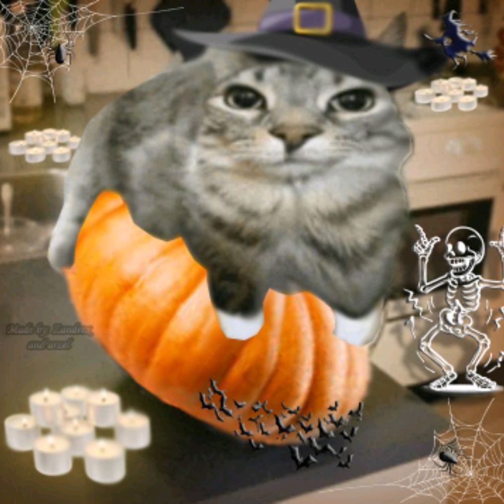 Иконка канала 🎃🍂🍁~✩Настя✩~🍁🍂🦇