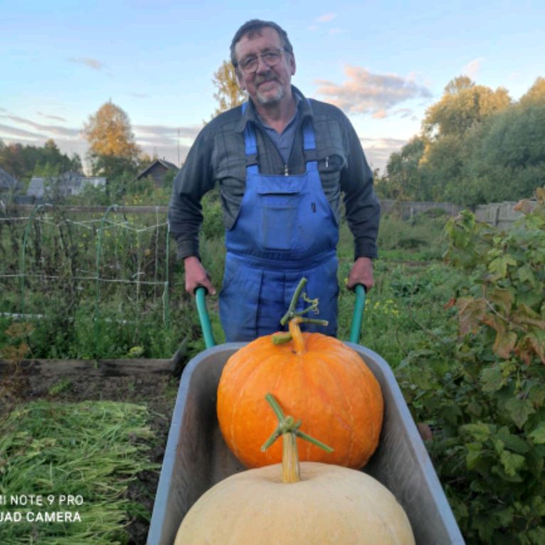 Аватар автора