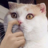 Иконка канала Mypcuk :3