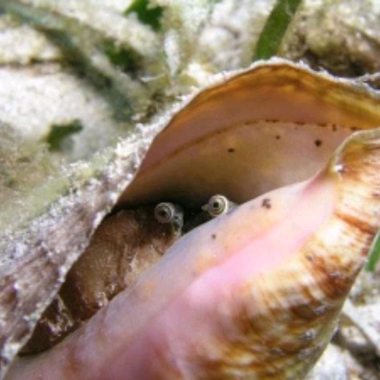 Иконка канала АКВА1976ЯД.