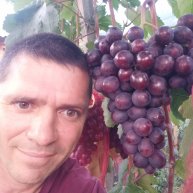 Иконка канала Виноград Виталия Фролкина