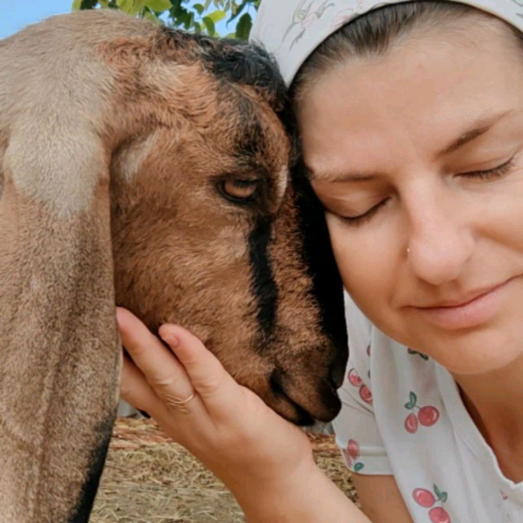 Иконка канала Просто сельская жизнь