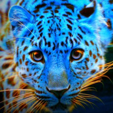 Иконка канала art1step