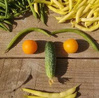 Иконка канала ZOYA HORTUS🌳