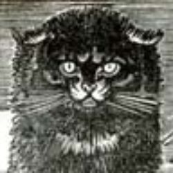 Иконка канала Смирный