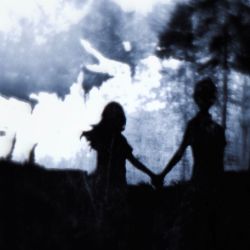 Иконка канала referencee