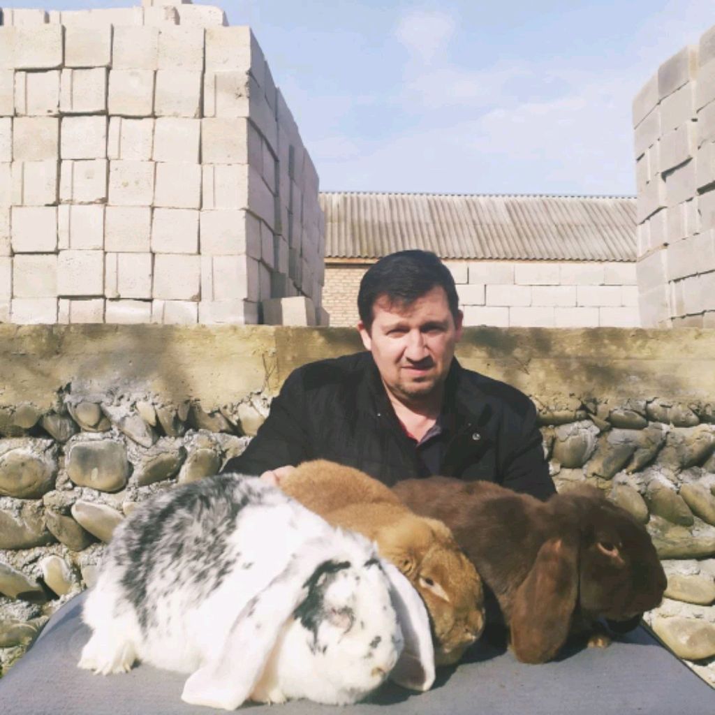 Аватар автора