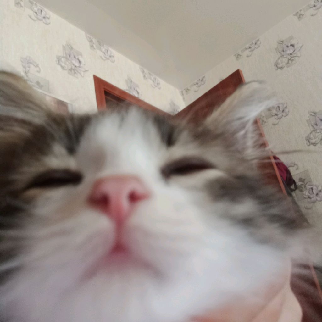 Иконка канала DANIX2838