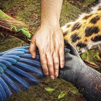 Иконка канала Кирилл Кириллов