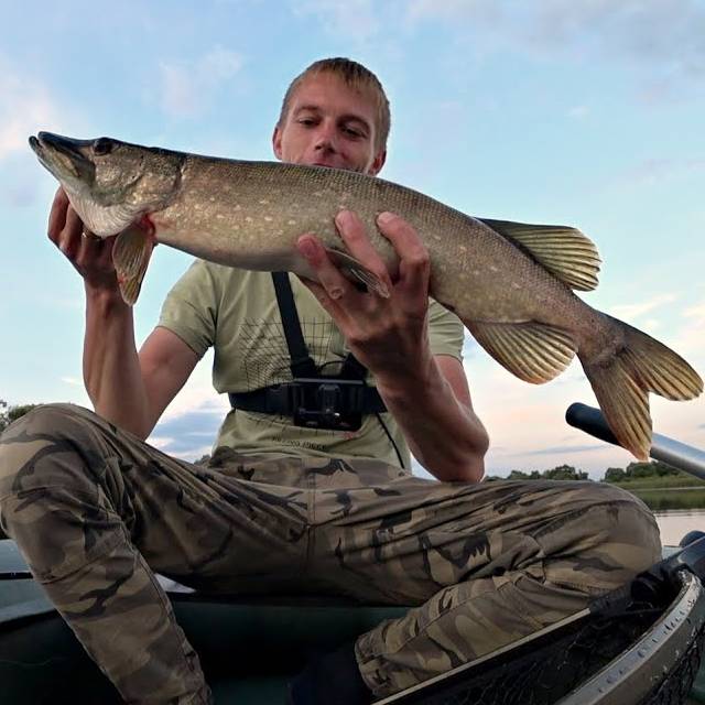 Аватар автора