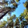 Иконка канала СветоМэн