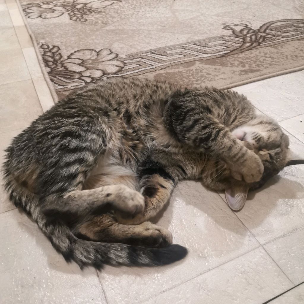 Аватар автора