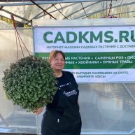 Иконка канала САД НА ДАЛЬНЕМ ВОСТОКЕ