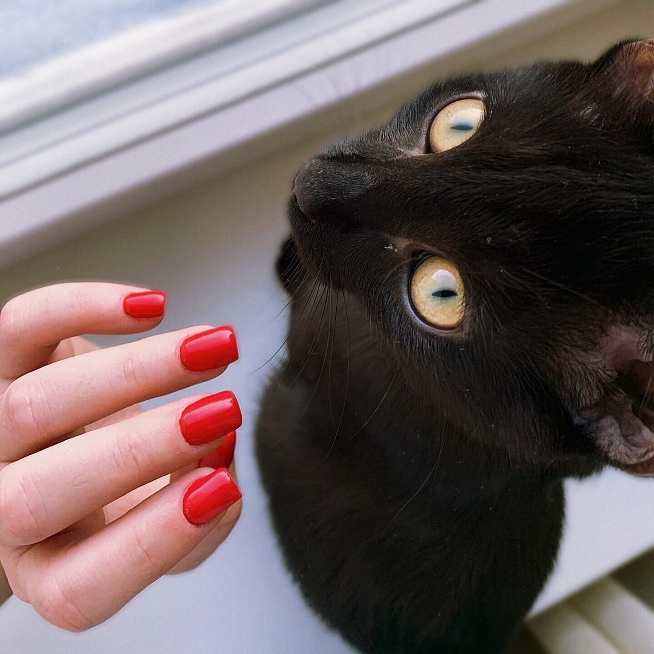 Иконка канала your manicure