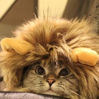 Иконка канала Alex Шаталин