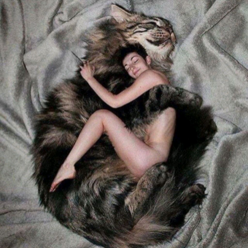 Девушка В Позе Кошечка Фото Девушка В Позе Кошечка Фото